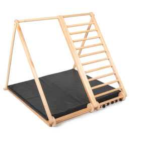 Zebra indoor playground black 280x280 1.jpg