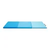 blue 3 2.webp