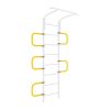 curved ladder to wallbars.jpg