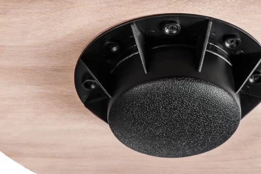 disk 510x341 1.webp