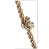 gym climbing rope with knote.jpg