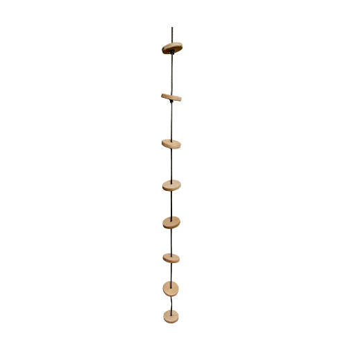 gym climbing rope with supports.jpg