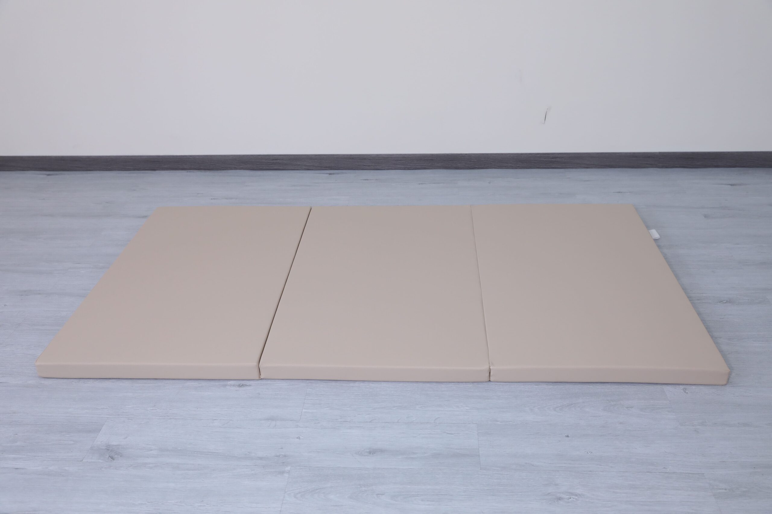 gym mat Satellite 180x100x5 cm4 scaled 1.jpg