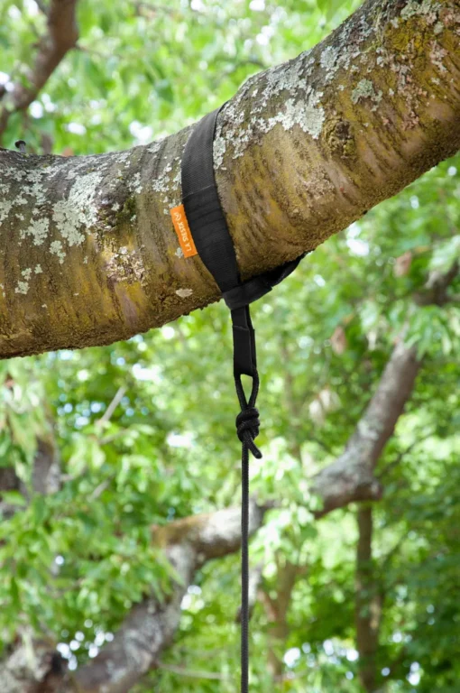 tree 510x768 1.webp