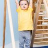 indoor playground Zebra10