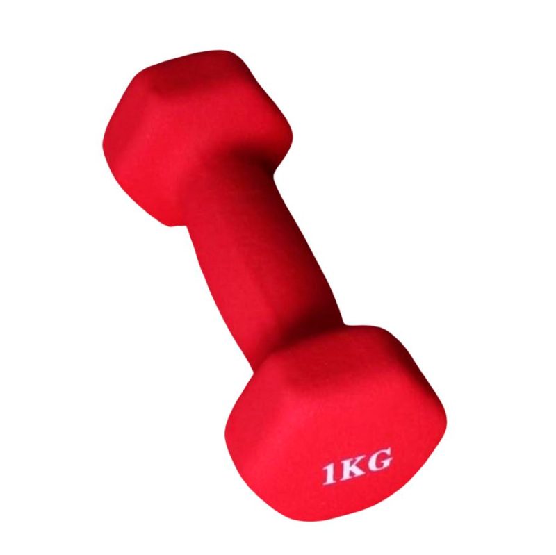 Dumbbell X-Sport 1 kg