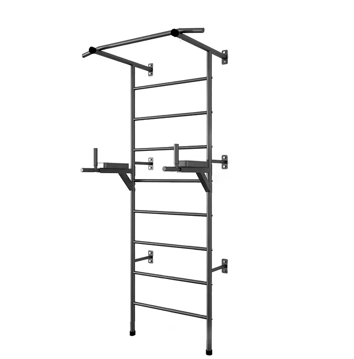 Wall Bars X-Sport