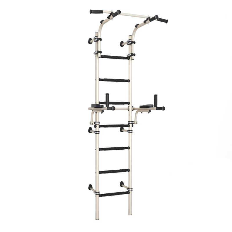 Wall-Mounted Gym Bars Teenager Plus