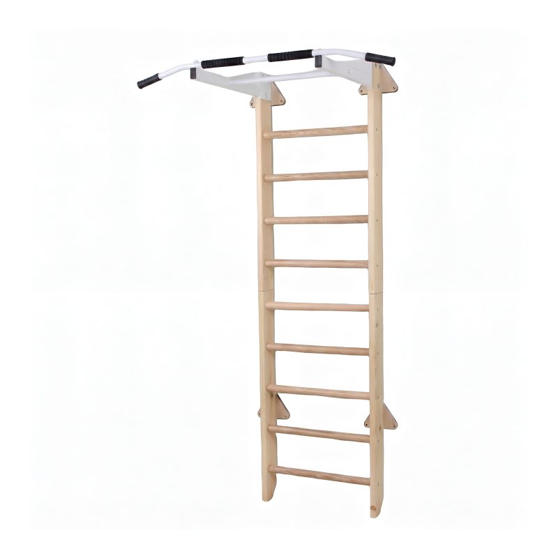 Wall Bars Arena