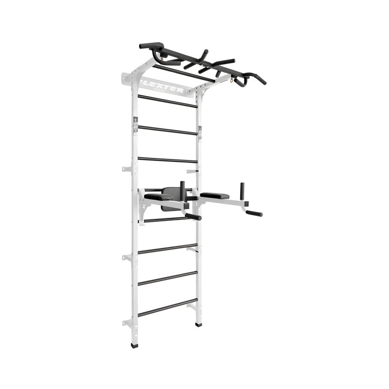 Gym Wall Bars Motion