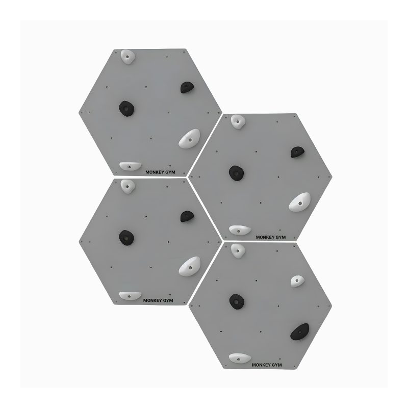 Indoor Climbing Wall Hexagon