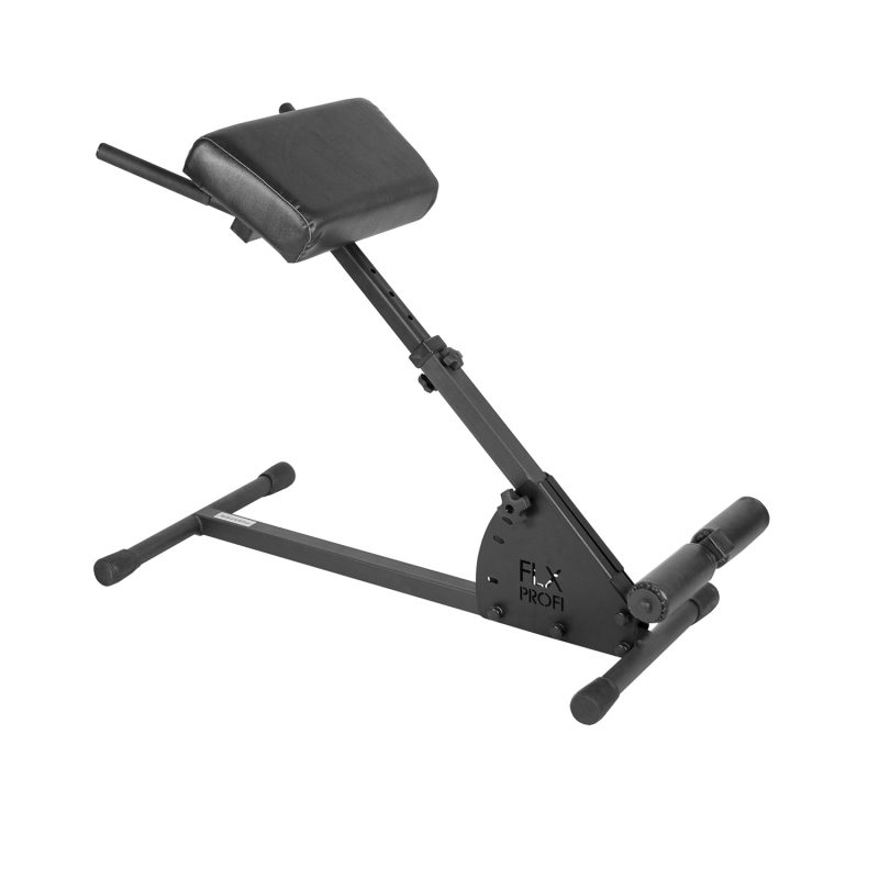 Hyperextension Bench Flexter Profi